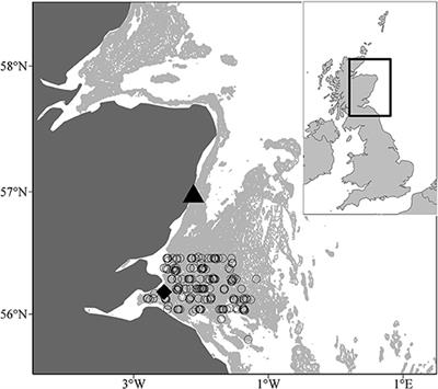 Timing of Sandeel Spawning and Hatching Off the East Coast of Scotland